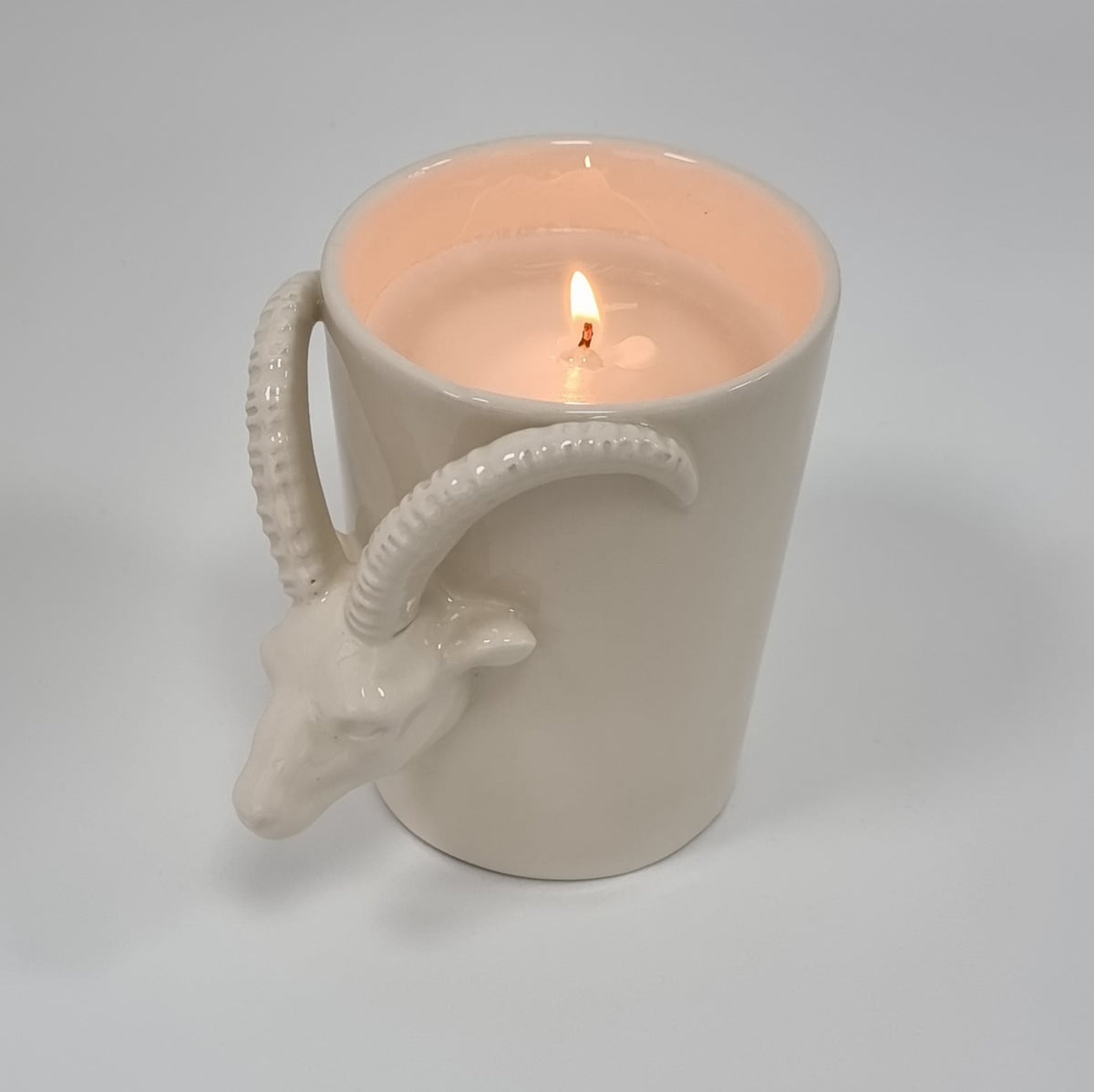Vela Aries