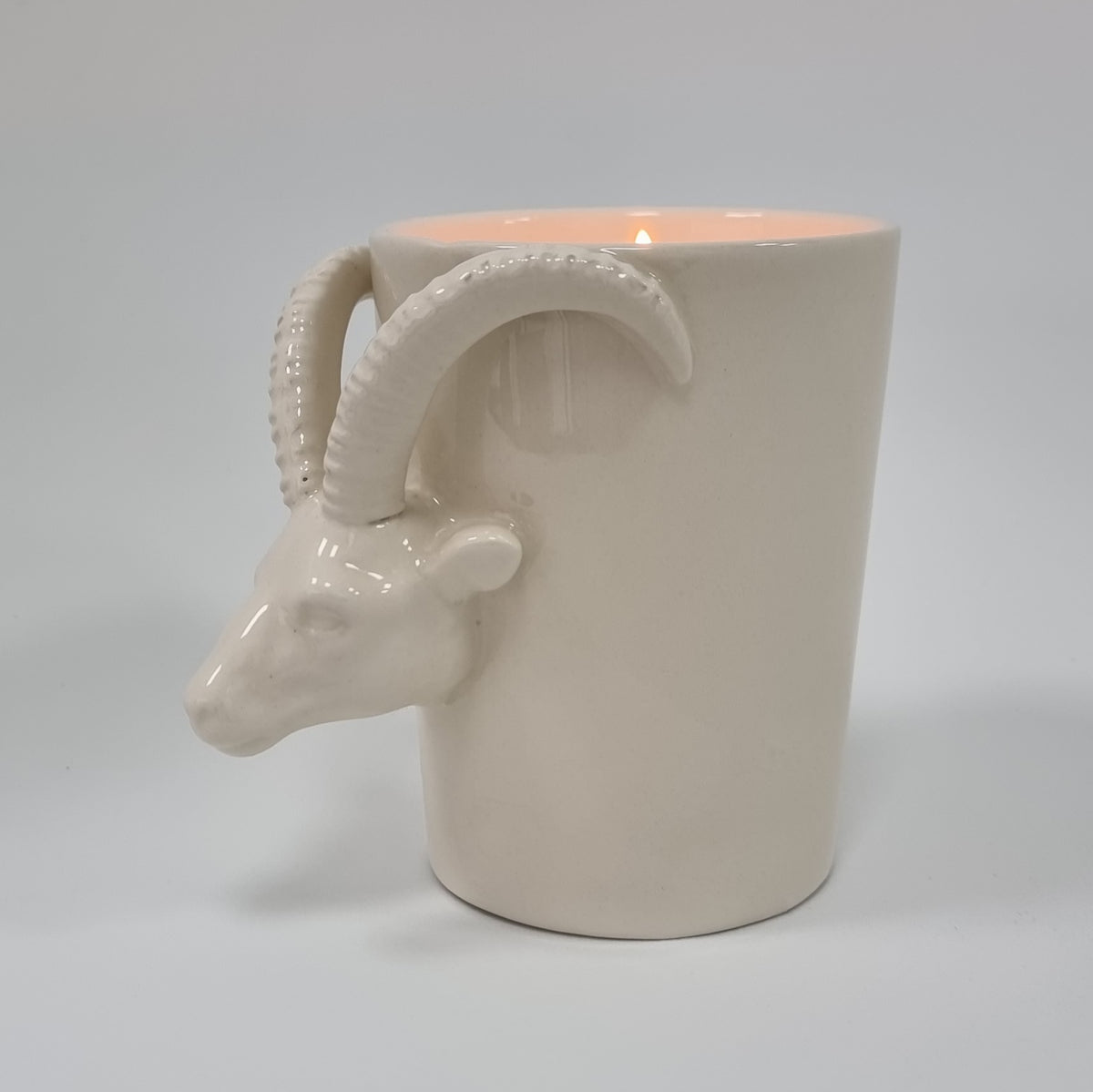 Vela Aries
